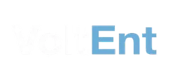 VoltEnt logo